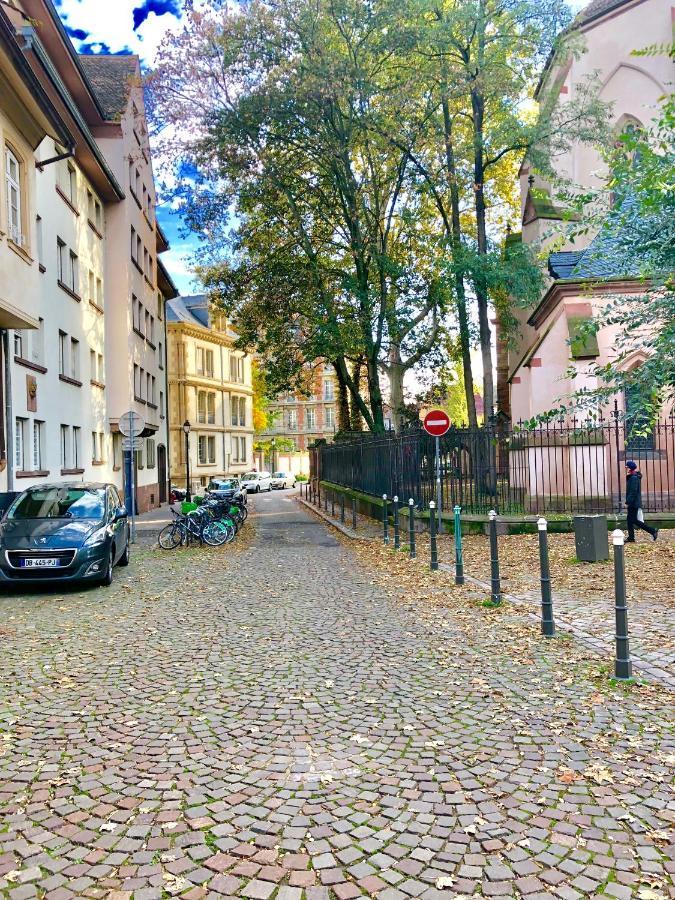 Cosy & Quiet Flat In Historical Lively Center Of Strasbourg Daire Dış mekan fotoğraf