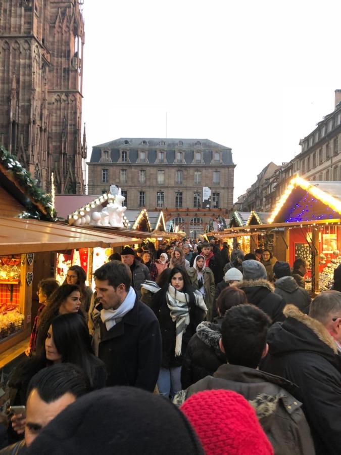 Cosy & Quiet Flat In Historical Lively Center Of Strasbourg Daire Dış mekan fotoğraf